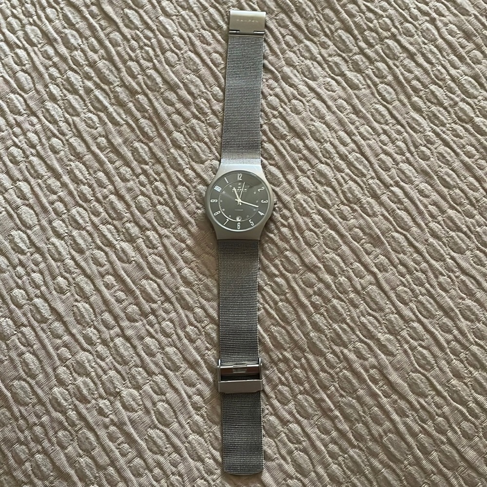 Mens Skagen watch
